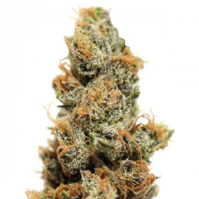 Pineapple Chunk 
