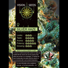 Silver Haze