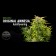 Amnesia Autoflowering dinafem