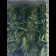 Black Domina Regular buds
