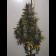 blueberry seeds