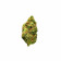 Critical Jack 