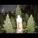 Jack Flash Regular seeds