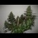 graines de cannabis kuysh-N
