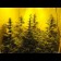 cannabis seeds Orange Bud Feminised