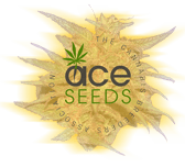 Ace Seeds