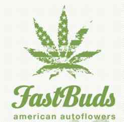 FastBuds