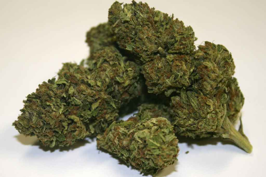 Master Kush