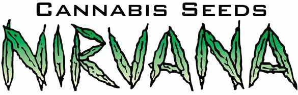 Nirvana Seeds