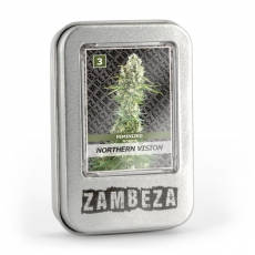 Northern Vision zambeza seeds