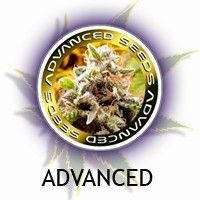 Advanced Seeds