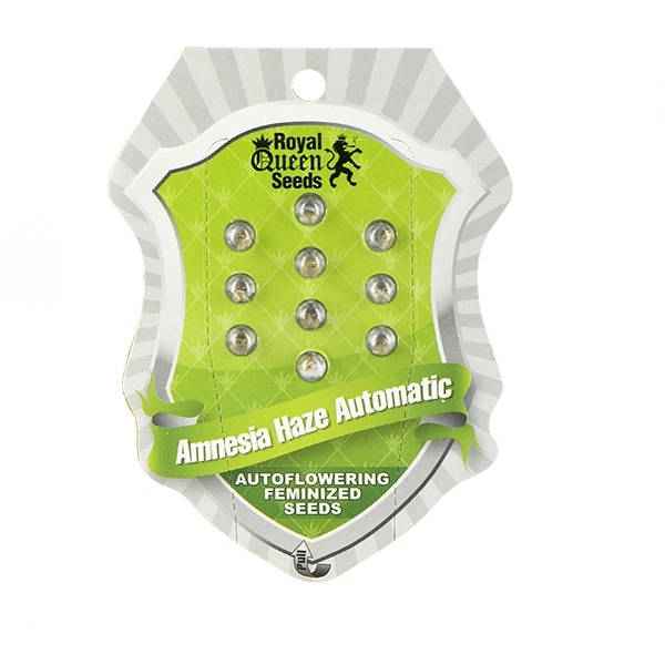 Amnesia Haze Automatic