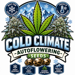 Koud Klimaat Autoflowering Zaden