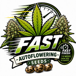 Snelste Autoflowering Zaden