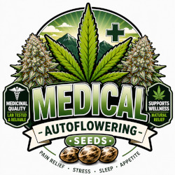 Medicinale Autoflowering Zaden