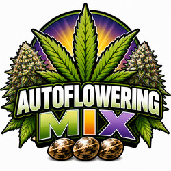 Mix van Autoflowering Zaden
