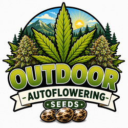 Autoflowering Zaden Voor Buiten