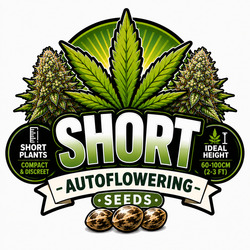 Autoflowering Cannabiszaden om Korte Planten te Kweken