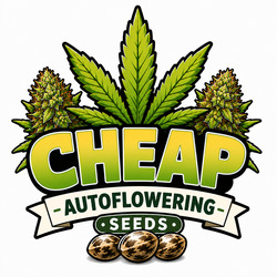 Goedkope Autoflowering Zaden