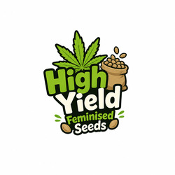 CannabisZaden met Hoge Opbrengst