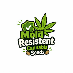Schimmelbestendige CannabisZaden