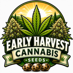 Vroege Oogstsoorten Cannabis Zaden