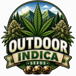 Outdoor Indica Cannabis Zaden