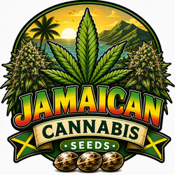 Jamaicaanse Cannabis Zaden