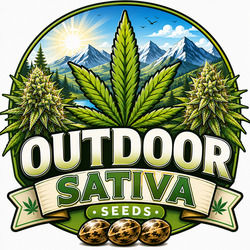 Outdoor Sativa Cannabis Zaden