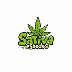 De beste Sativa Cannabiszaden