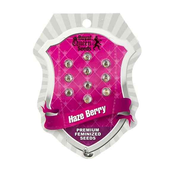 Haze Berry