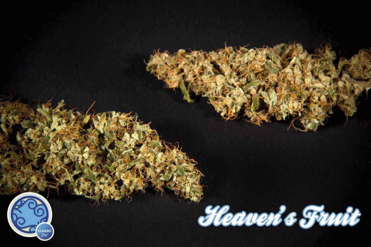 Heaven's Fruit 