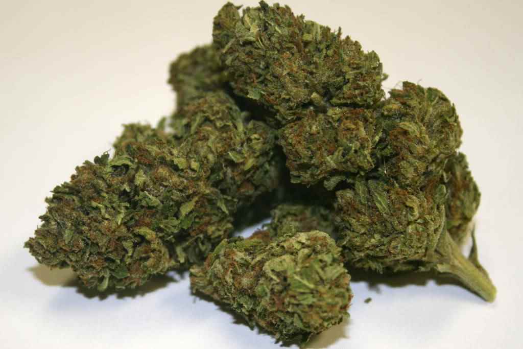 Master Kush