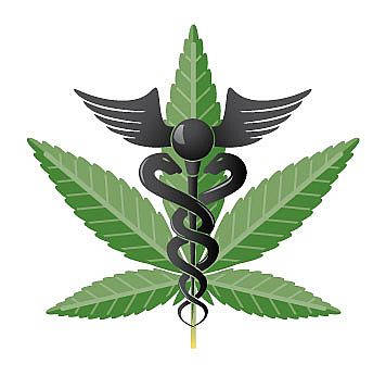 Medische Cannabis Zaden