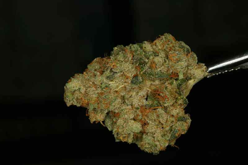 MK Ultra