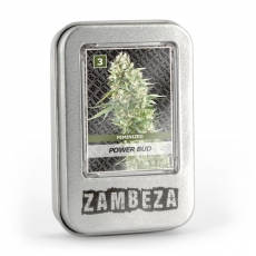 Power Bud