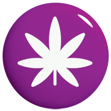 Purple Wietzaden