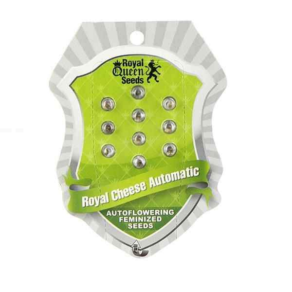 Royal Cheese Automatic