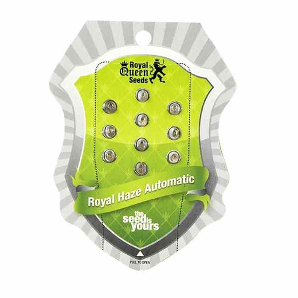 Royal Haze Automatic