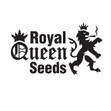 Royal Queen Seeds