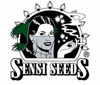 Sensi Seeds