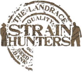 Strain Hunters
