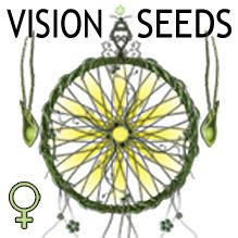 Vision Seeds