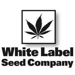 White Label Seeds