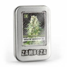 White Widow Strain Review